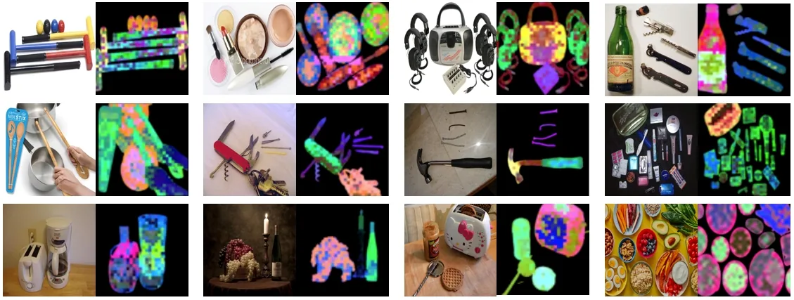 Photos of animals and objects next to the PCA of their MLCD patch features: the background is removed and objects of the same category share a colour